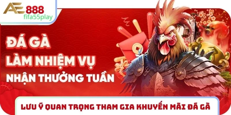 Lưu ý quan trọng tham gia khuyến mãi đá gà