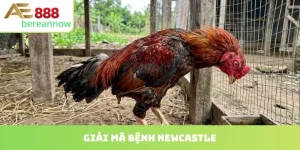 bệnh newcastle